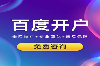 实战案例：SEM广告投放的优化策略